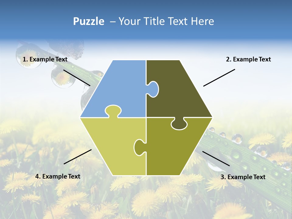 Flower Beauty Bright PowerPoint Template