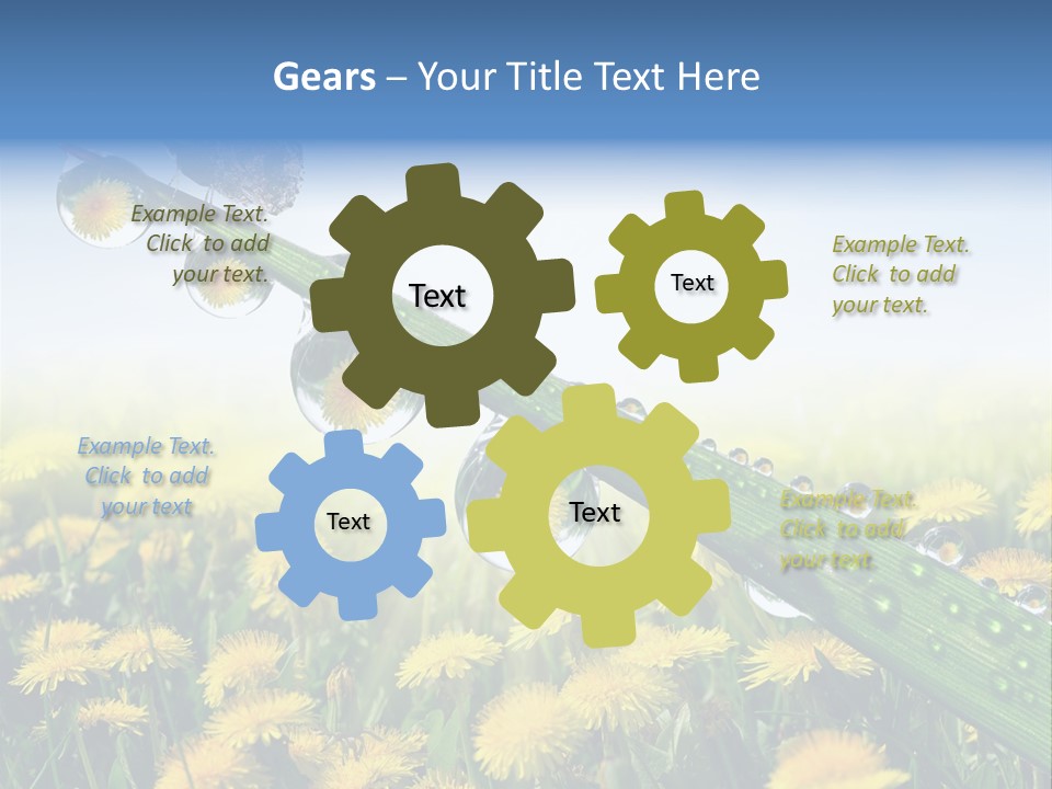 Flower Beauty Bright PowerPoint Template