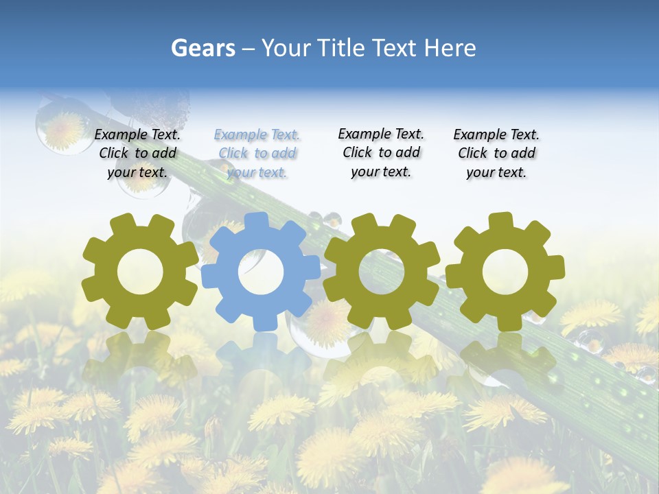 Flower Beauty Bright PowerPoint Template