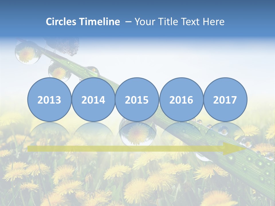 Flower Beauty Bright PowerPoint Template