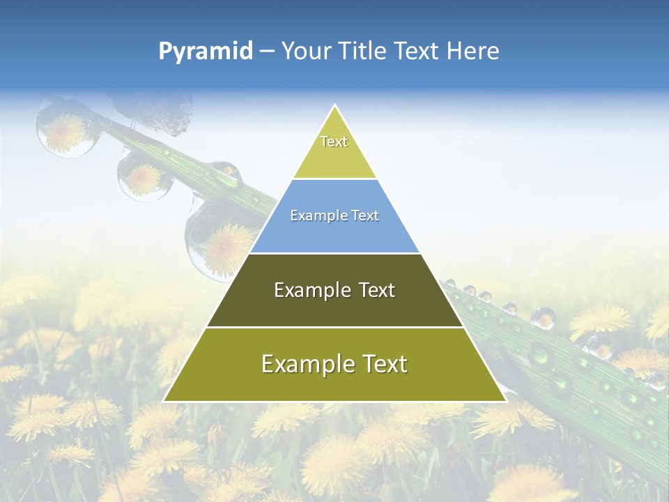 Flower Beauty Bright PowerPoint Template