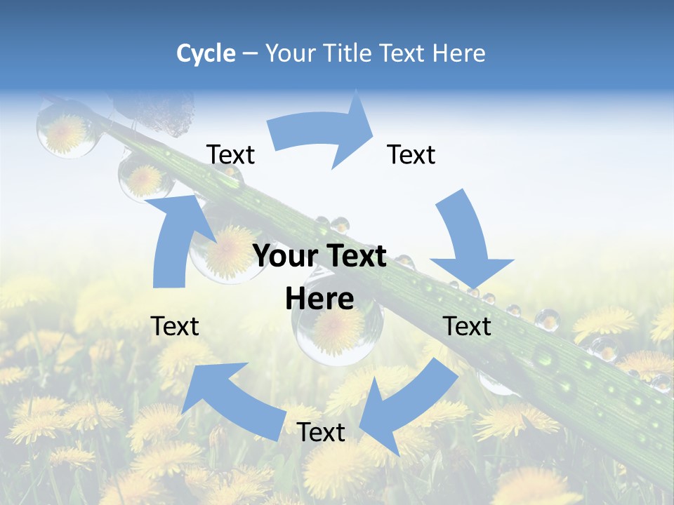 Flower Beauty Bright PowerPoint Template