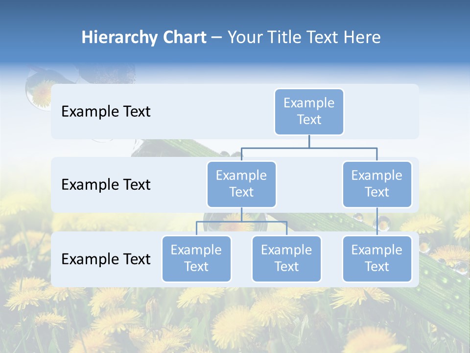 Flower Beauty Bright PowerPoint Template