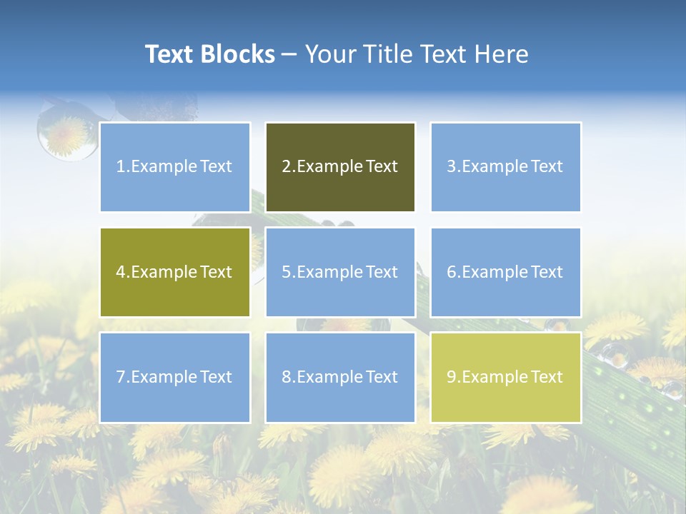 Flower Beauty Bright PowerPoint Template
