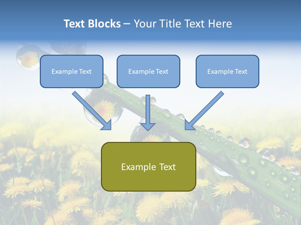 Flower Beauty Bright PowerPoint Template