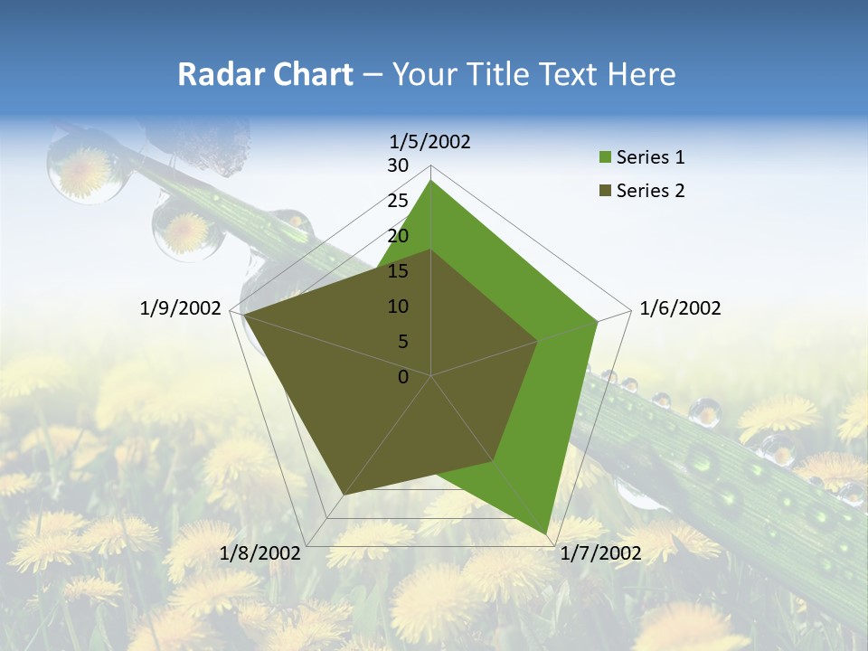 Flower Beauty Bright PowerPoint Template