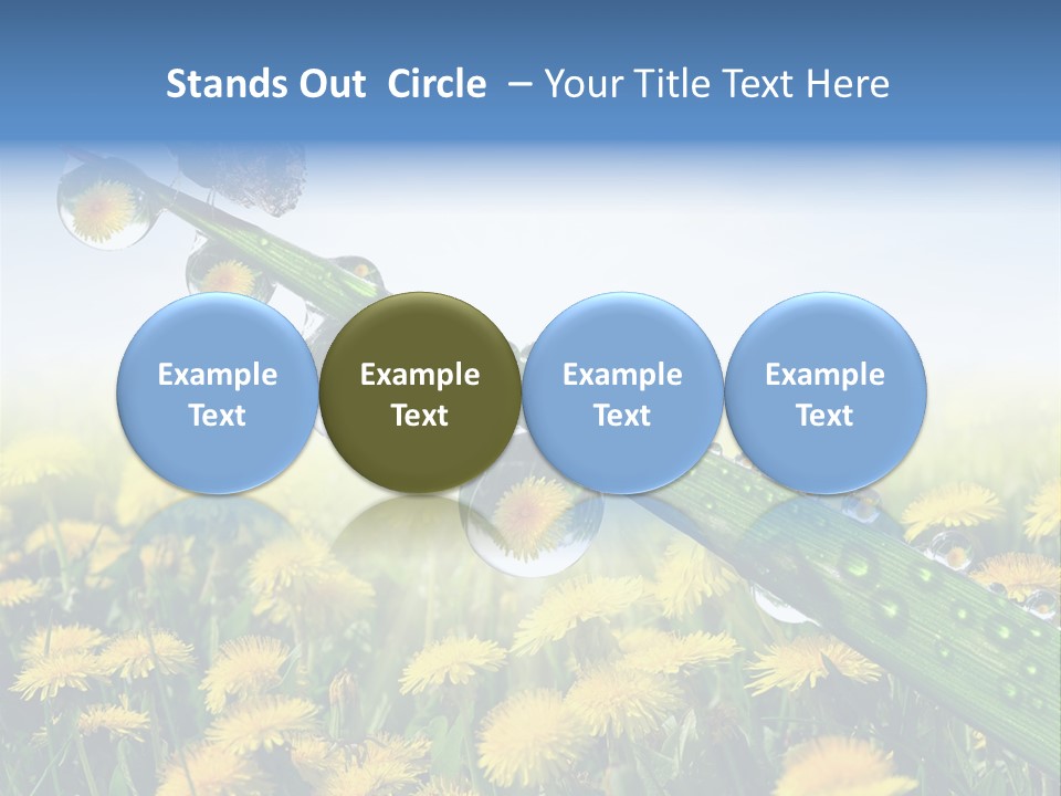 Flower Beauty Bright PowerPoint Template