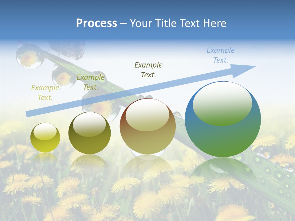 Flower Beauty Bright PowerPoint Template