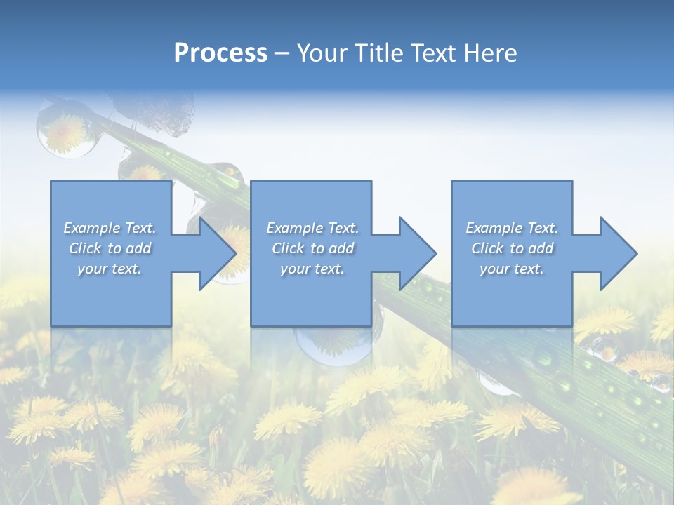 Flower Beauty Bright PowerPoint Template