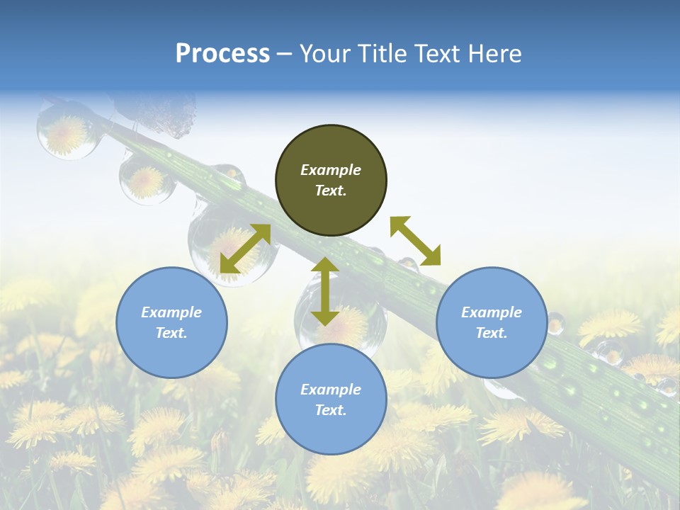 Flower Beauty Bright PowerPoint Template