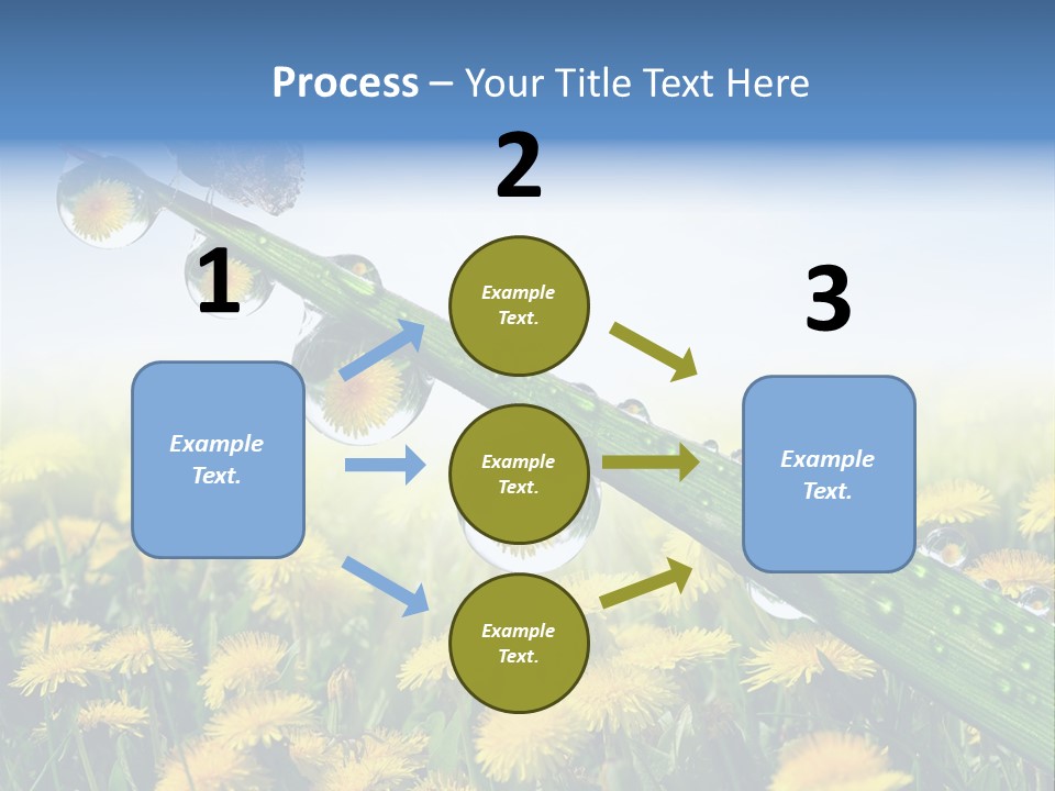 Flower Beauty Bright PowerPoint Template