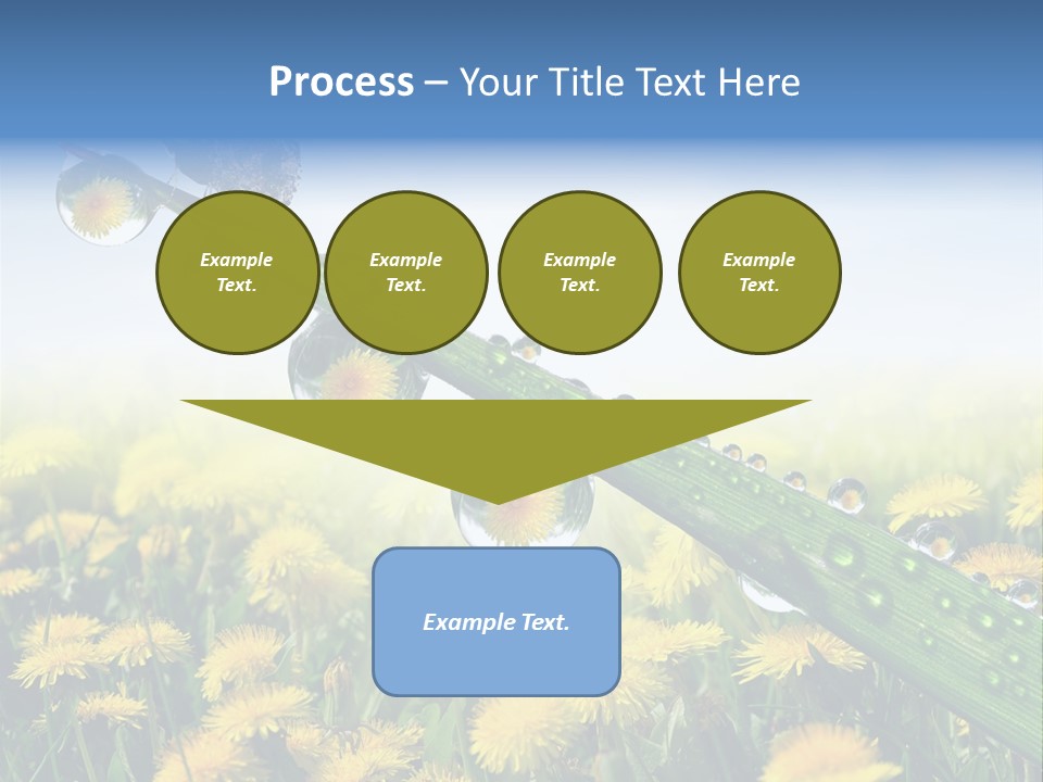 Flower Beauty Bright PowerPoint Template