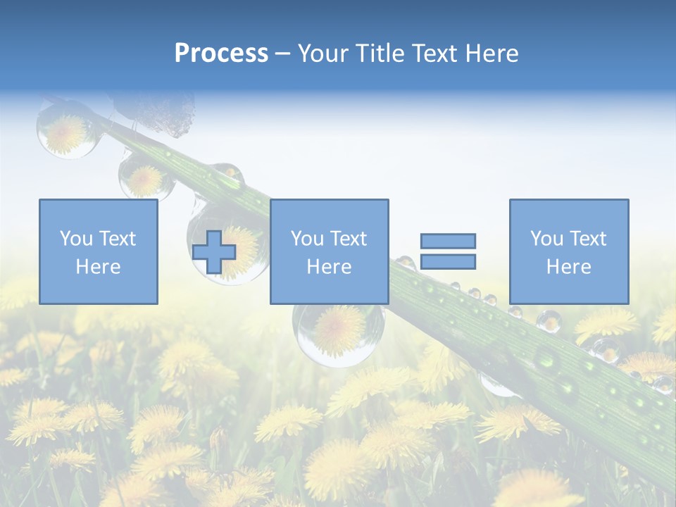 Flower Beauty Bright PowerPoint Template