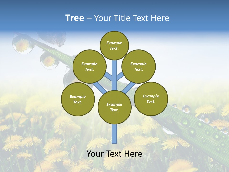 Flower Beauty Bright PowerPoint Template