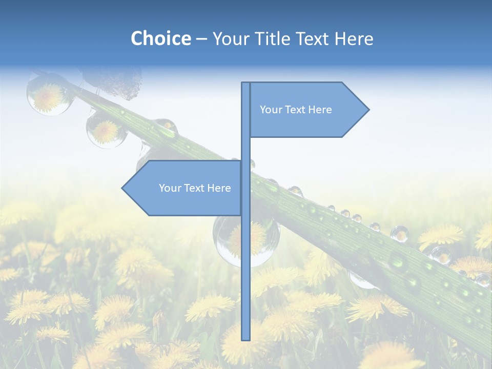 Flower Beauty Bright PowerPoint Template