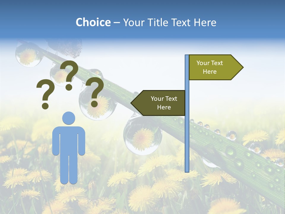 Flower Beauty Bright PowerPoint Template