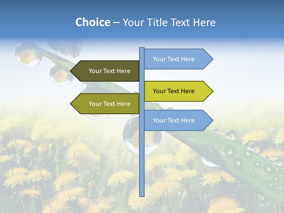 Flower Beauty Bright PowerPoint Template