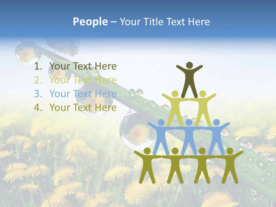 Flower Beauty Bright PowerPoint Template