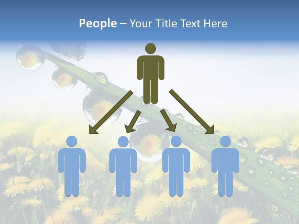 Flower Beauty Bright PowerPoint Template