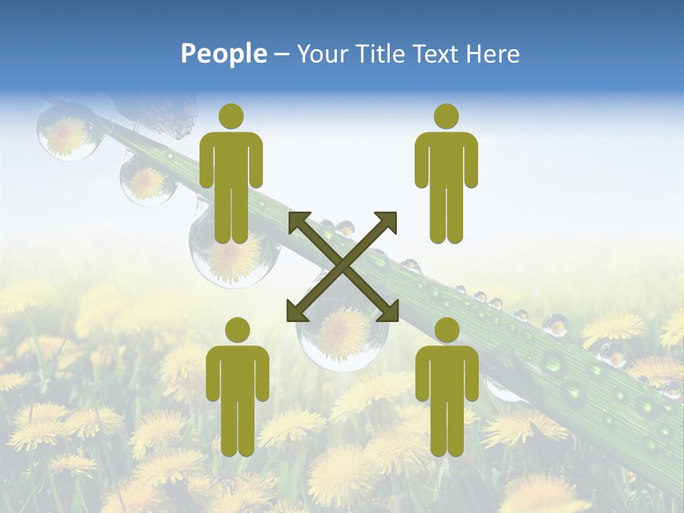 Flower Beauty Bright PowerPoint Template