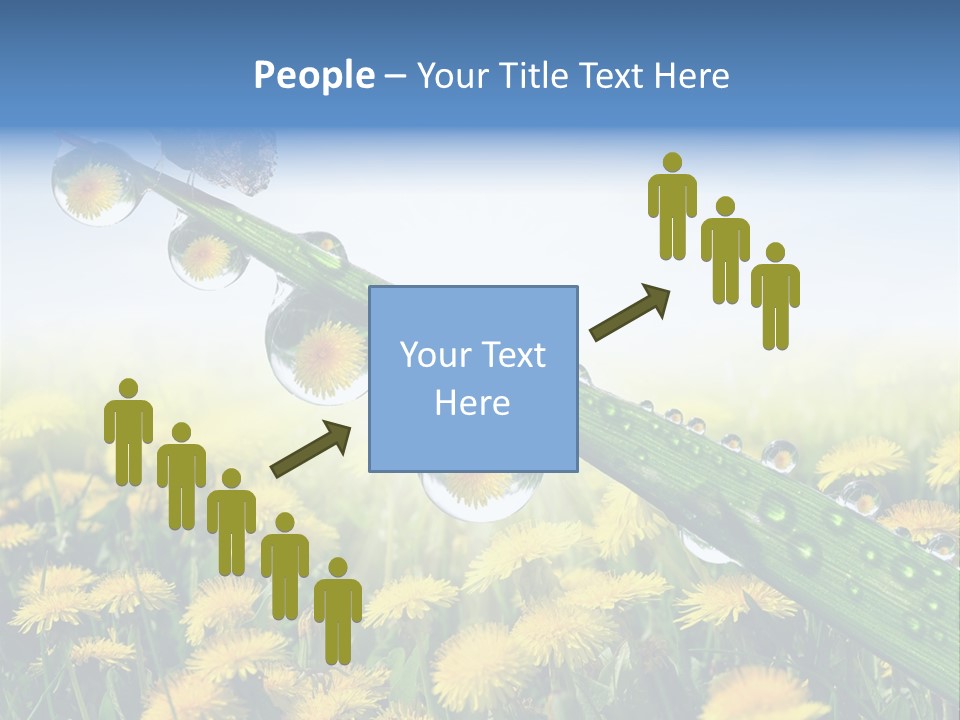 Flower Beauty Bright PowerPoint Template