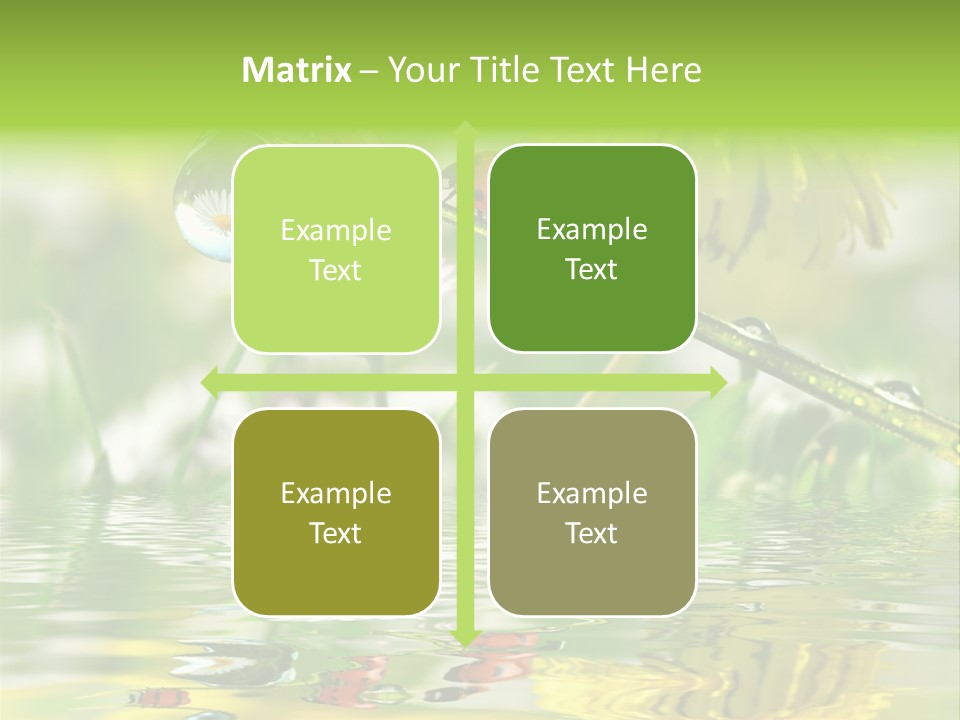 Environmental Raindrop Meadow PowerPoint Template