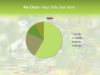 Environmental Raindrop Meadow PowerPoint Template