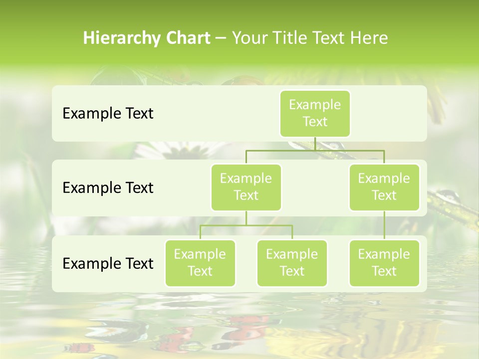 Environmental Raindrop Meadow PowerPoint Template
