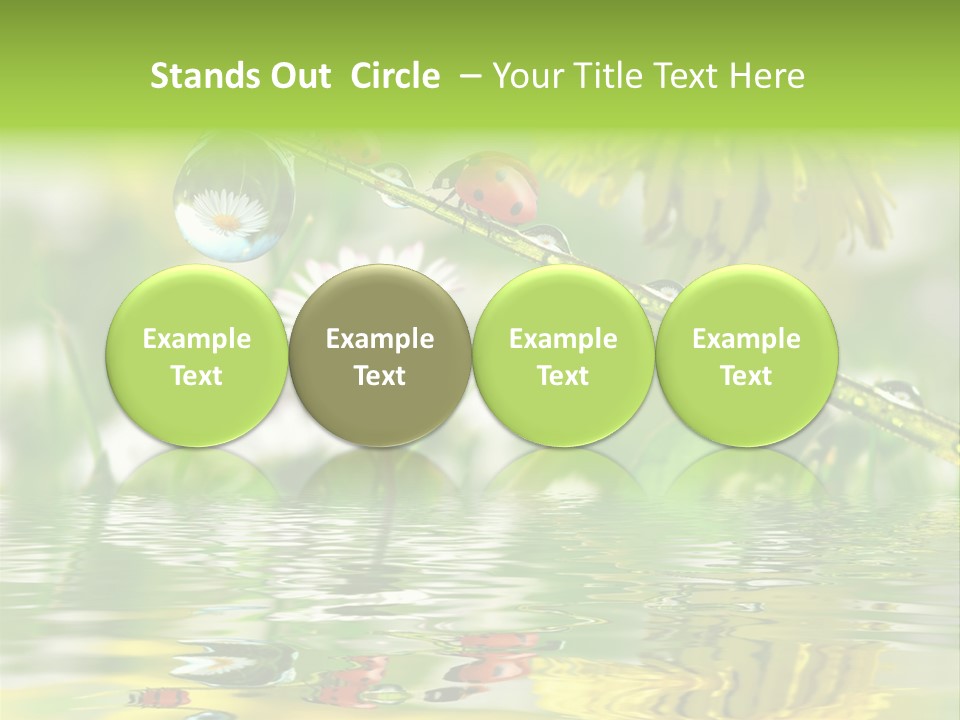 Environmental Raindrop Meadow PowerPoint Template