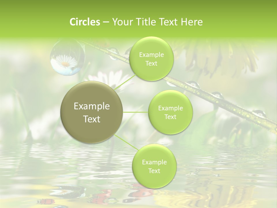 Environmental Raindrop Meadow PowerPoint Template