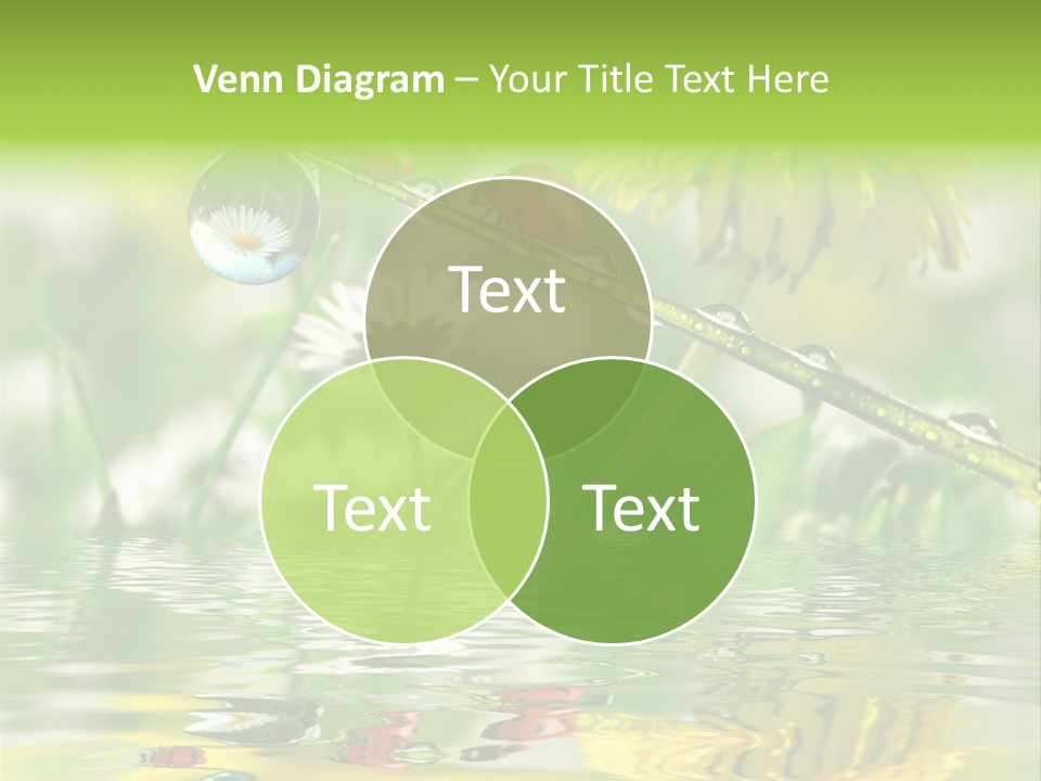 Environmental Raindrop Meadow PowerPoint Template
