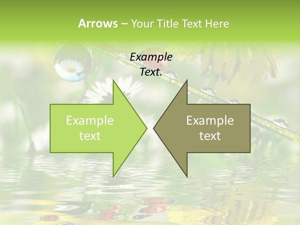 Environmental Raindrop Meadow PowerPoint Template