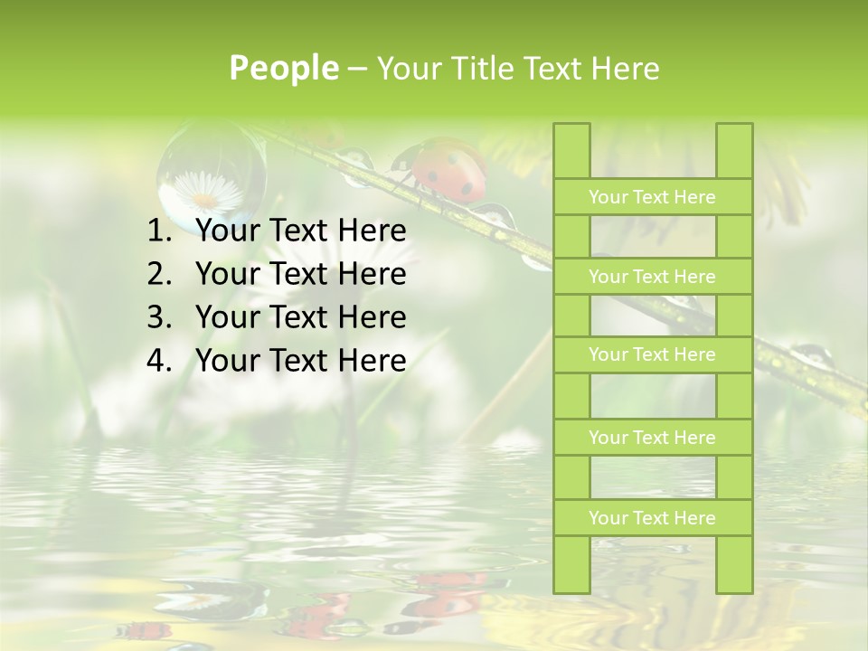 Environmental Raindrop Meadow PowerPoint Template