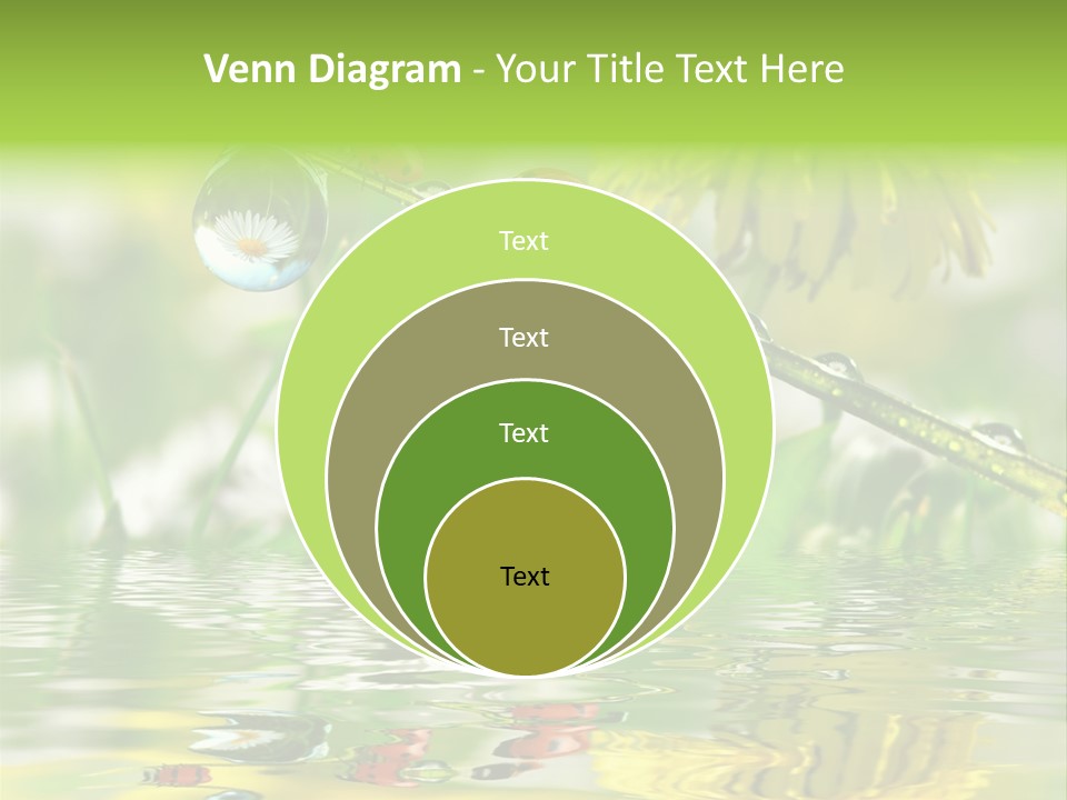 Environmental Raindrop Meadow PowerPoint Template