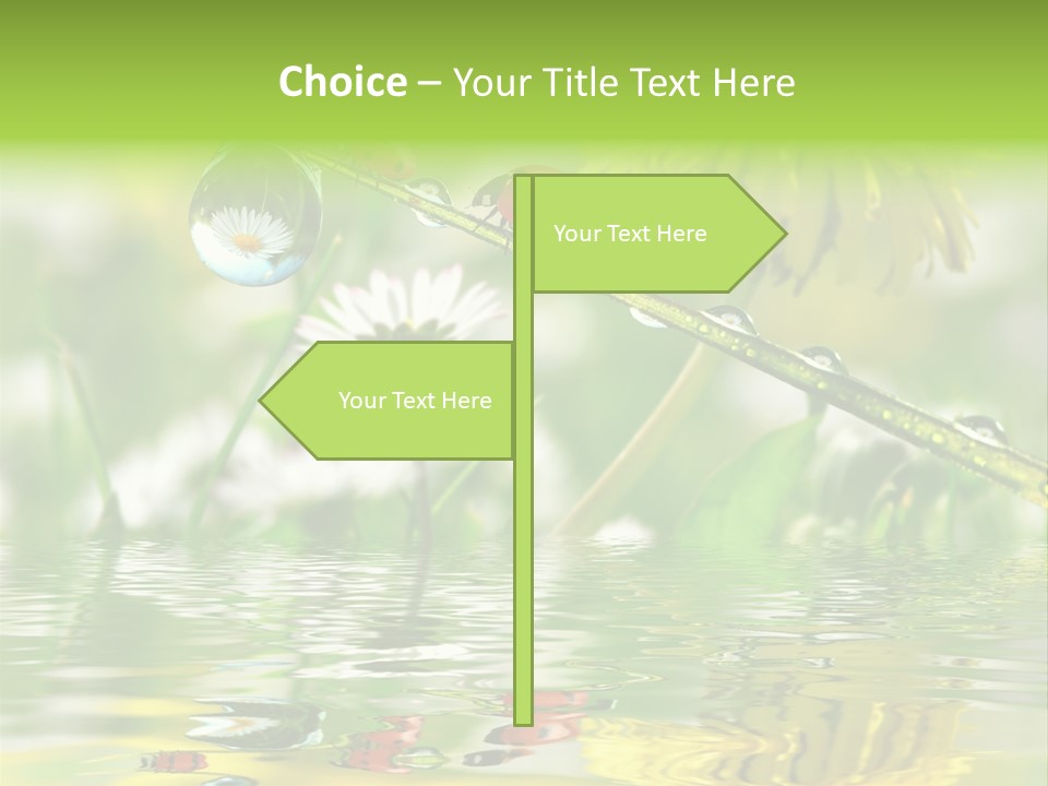 Environmental Raindrop Meadow PowerPoint Template