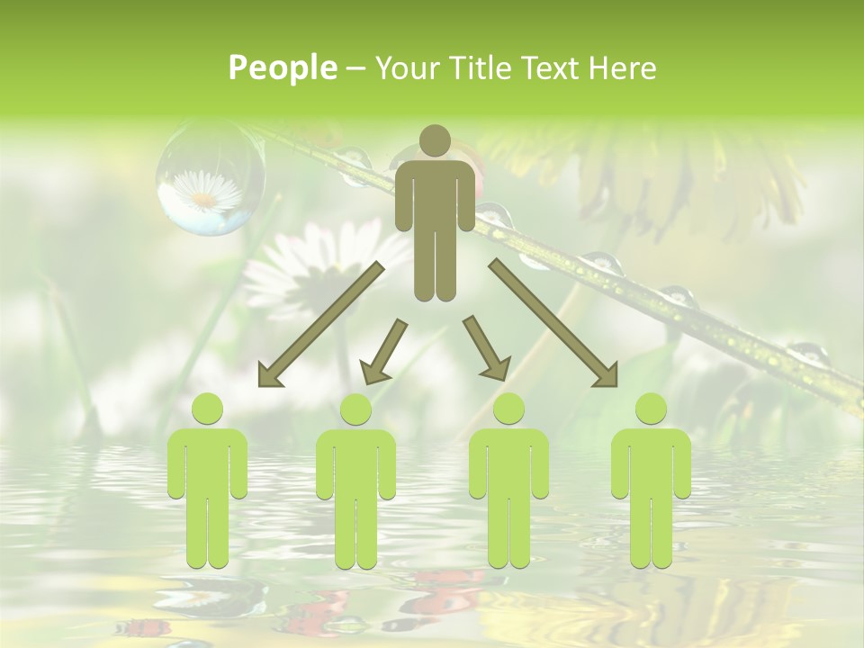 Environmental Raindrop Meadow PowerPoint Template
