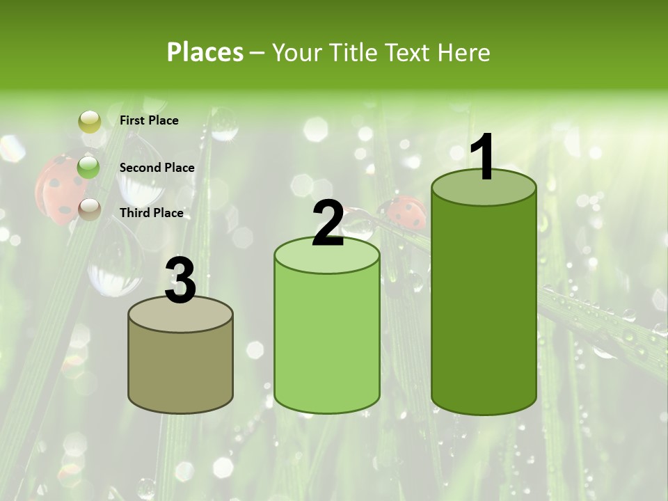 Bright Meadow Lifestyle PowerPoint Template