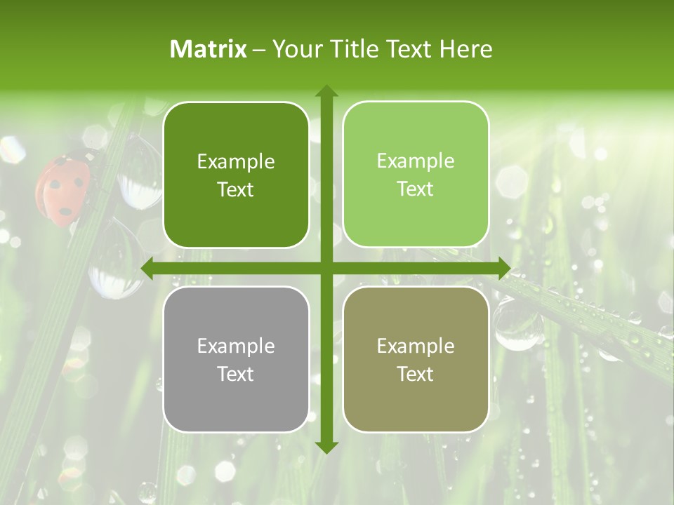 Bright Meadow Lifestyle PowerPoint Template