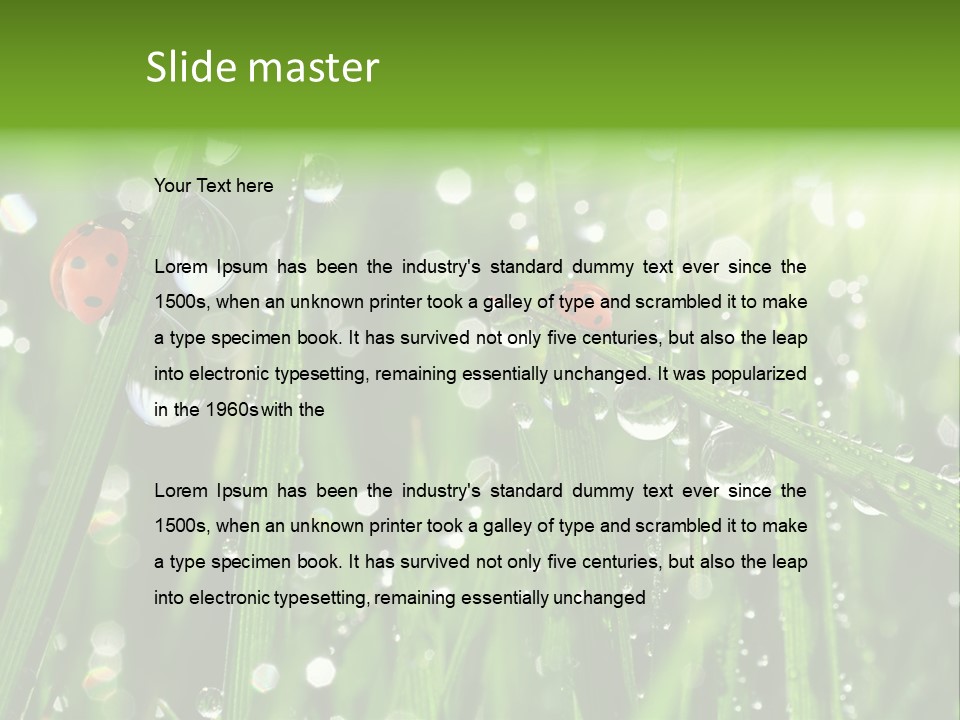 Bright Meadow Lifestyle PowerPoint Template