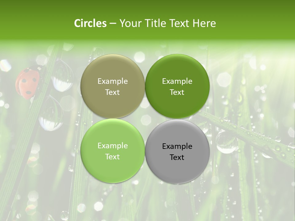 Bright Meadow Lifestyle PowerPoint Template