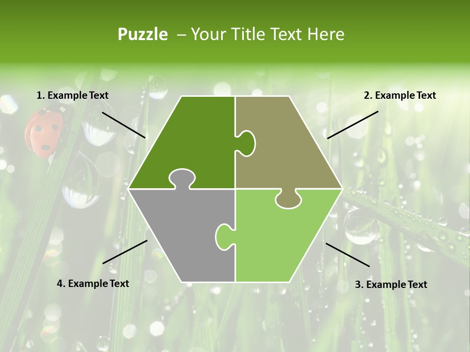 Bright Meadow Lifestyle PowerPoint Template