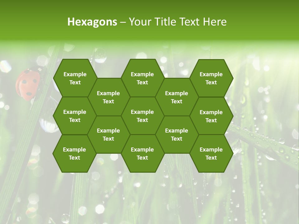 Bright Meadow Lifestyle PowerPoint Template