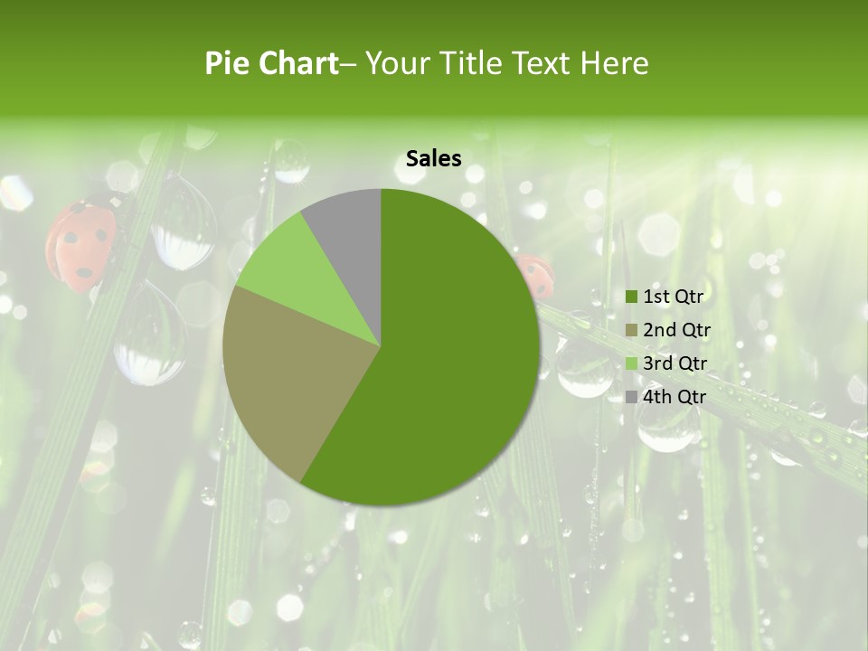 Bright Meadow Lifestyle PowerPoint Template