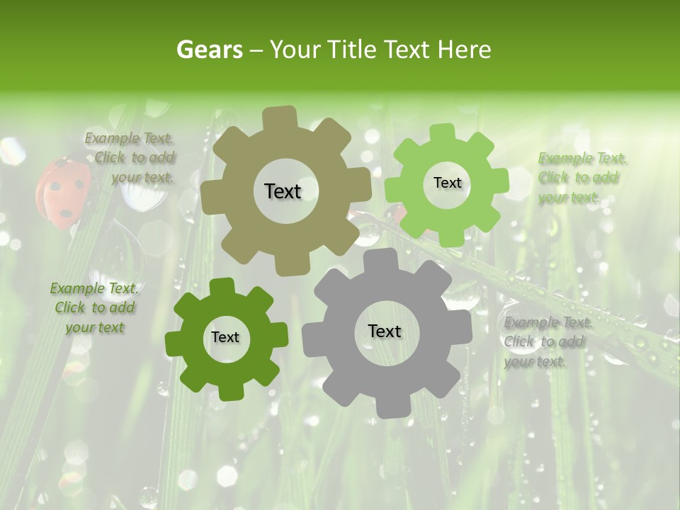 Bright Meadow Lifestyle PowerPoint Template