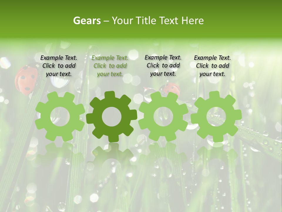 Bright Meadow Lifestyle PowerPoint Template