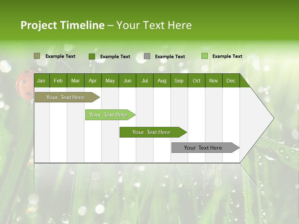 Bright Meadow Lifestyle PowerPoint Template