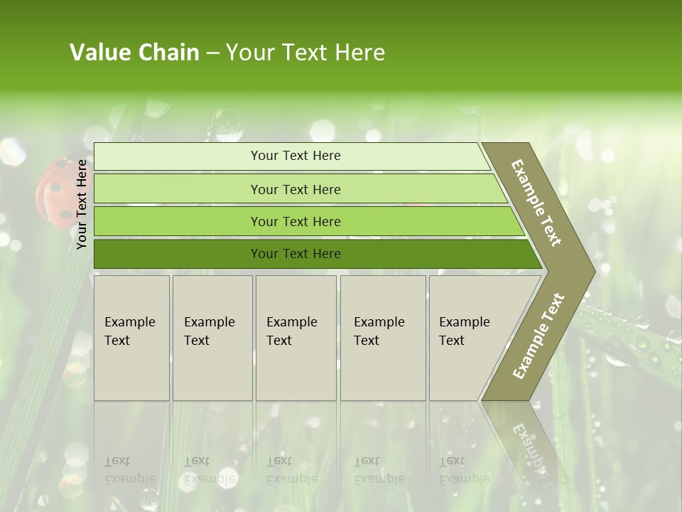 Bright Meadow Lifestyle PowerPoint Template