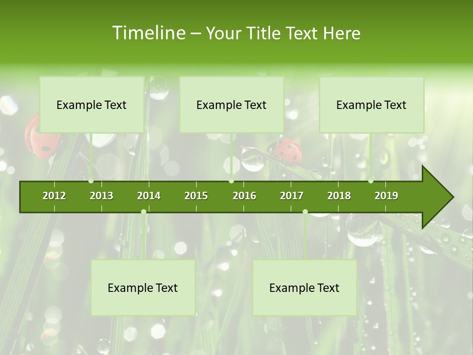 Bright Meadow Lifestyle PowerPoint Template