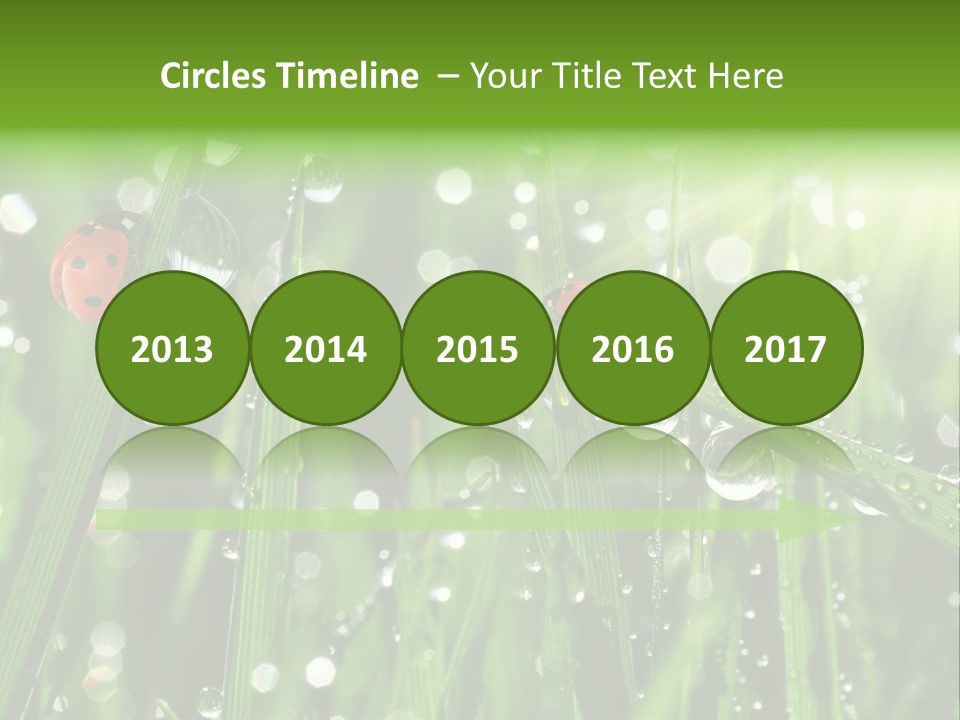 Bright Meadow Lifestyle PowerPoint Template