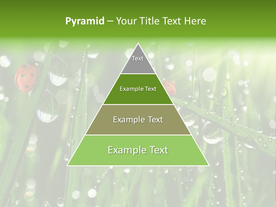 Bright Meadow Lifestyle PowerPoint Template